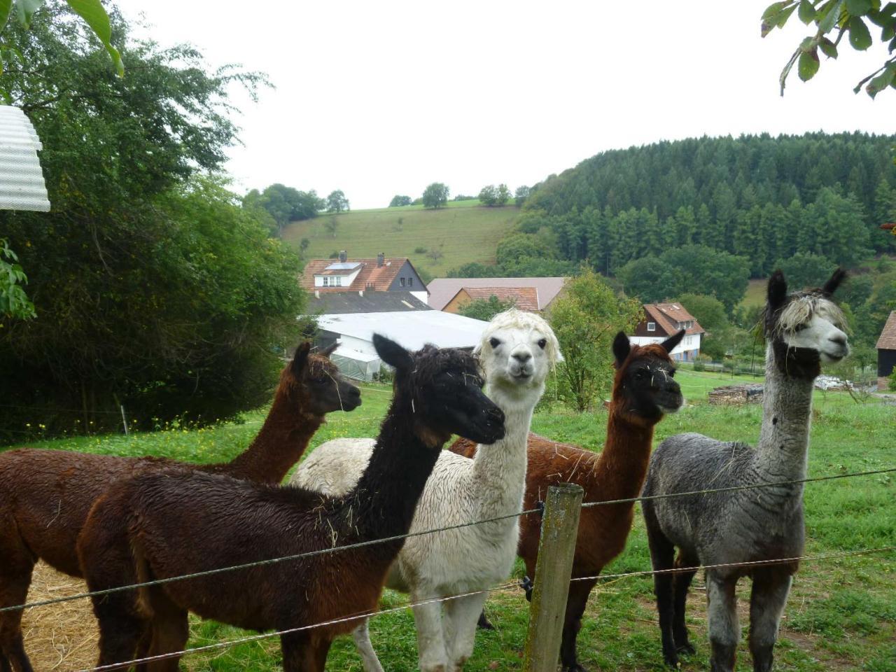 Ferienwohnungen Hof Heiderich Oberzent Buitenkant foto