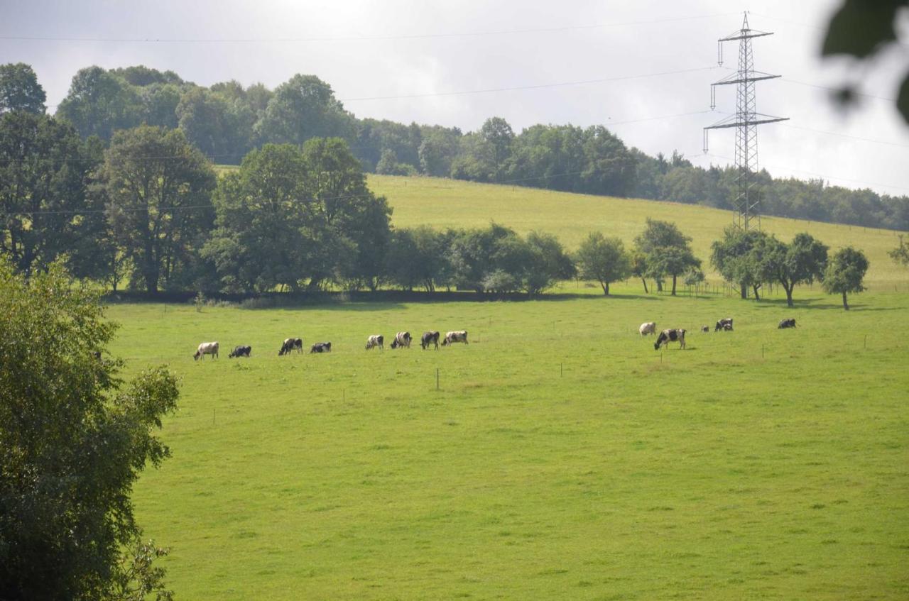 Ferienwohnungen Hof Heiderich Oberzent Buitenkant foto