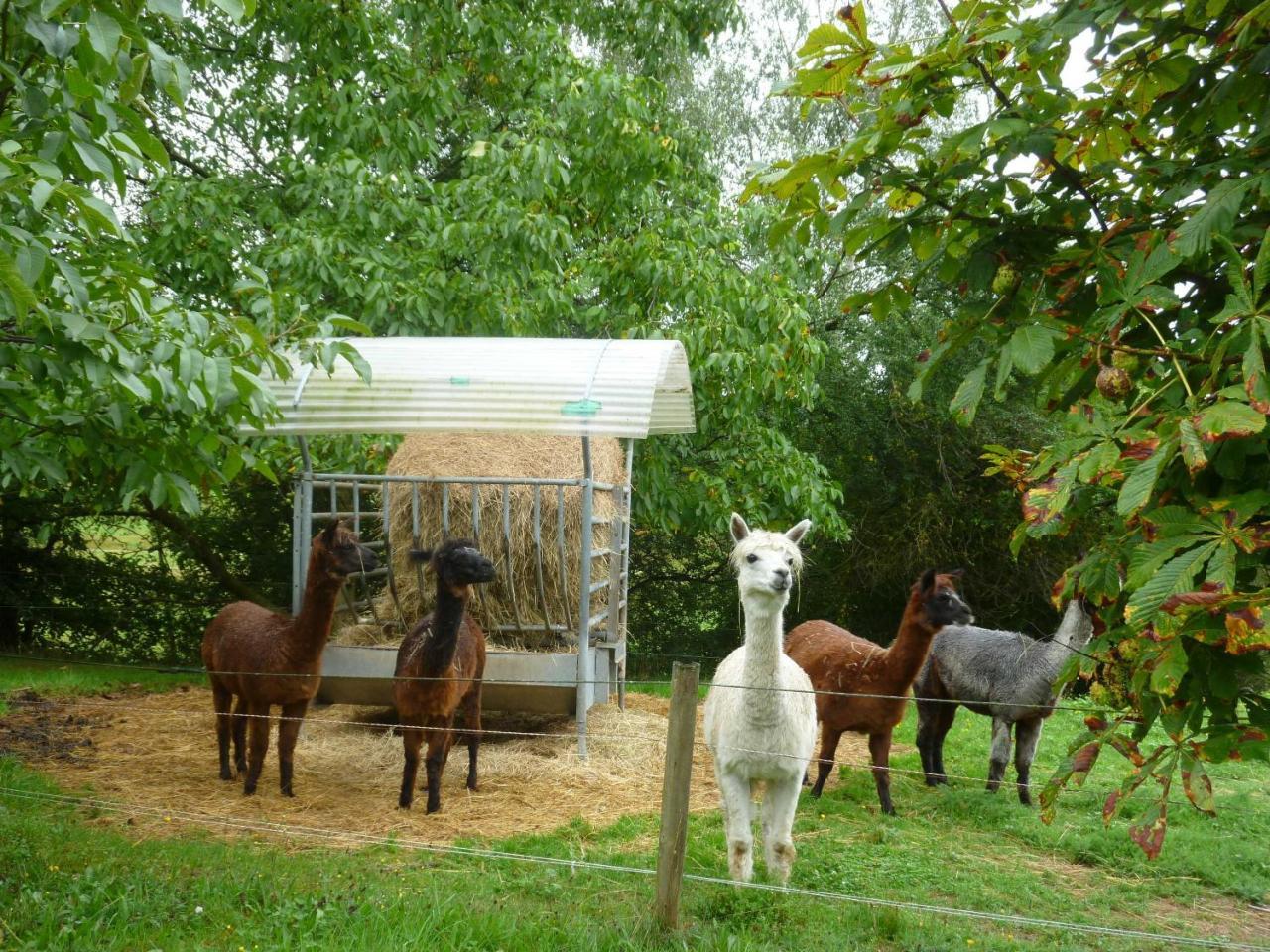 Ferienwohnungen Hof Heiderich Oberzent Buitenkant foto